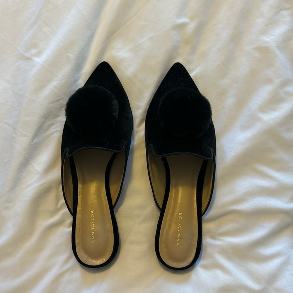 Ann Taylor Pomp Flats